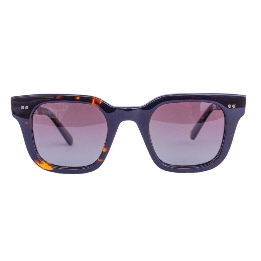 ANTEOJO DE SOL,BARCLAY,DEMI BROWN,Polarizados
