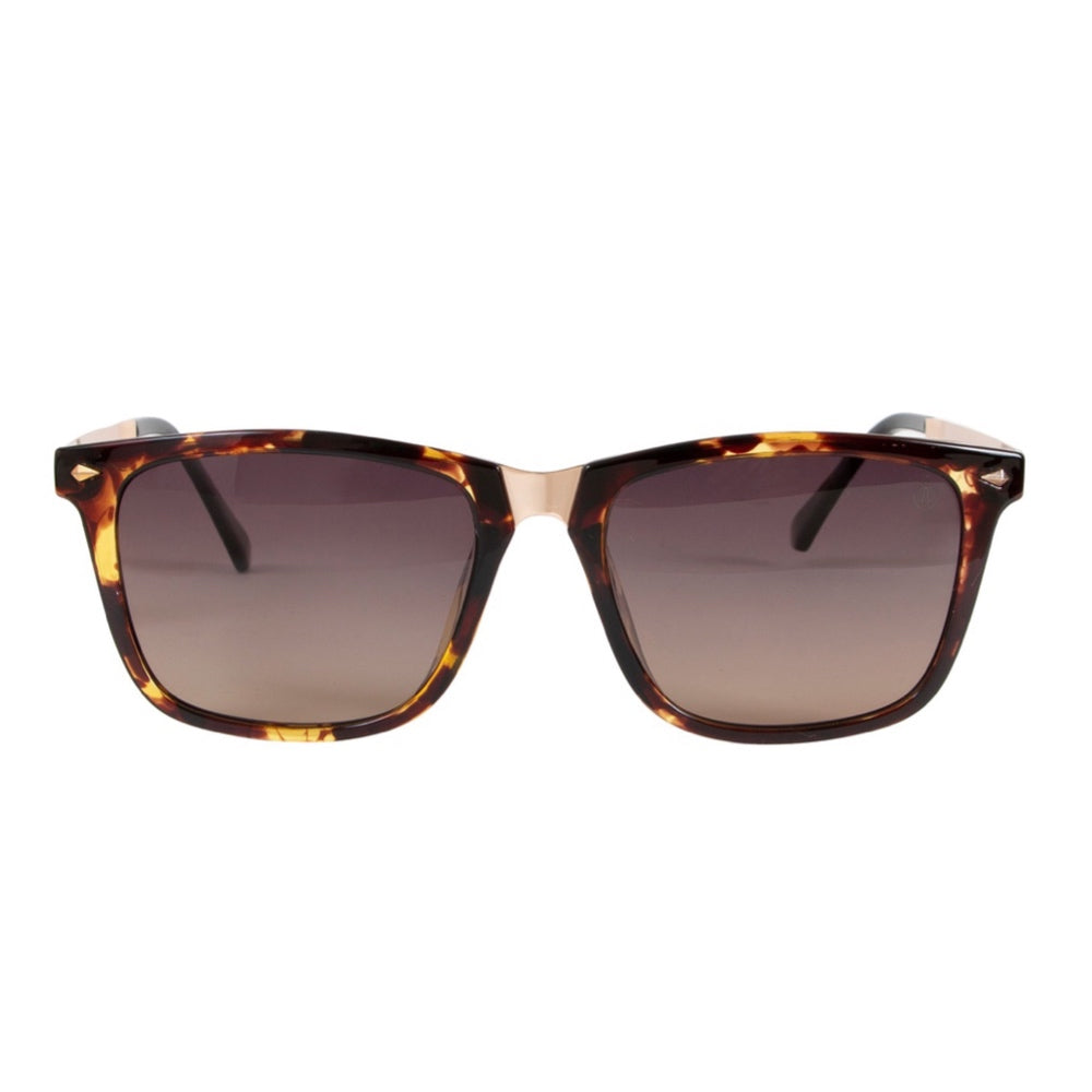 ANTEOJO DE SOL, RILEY-Animal