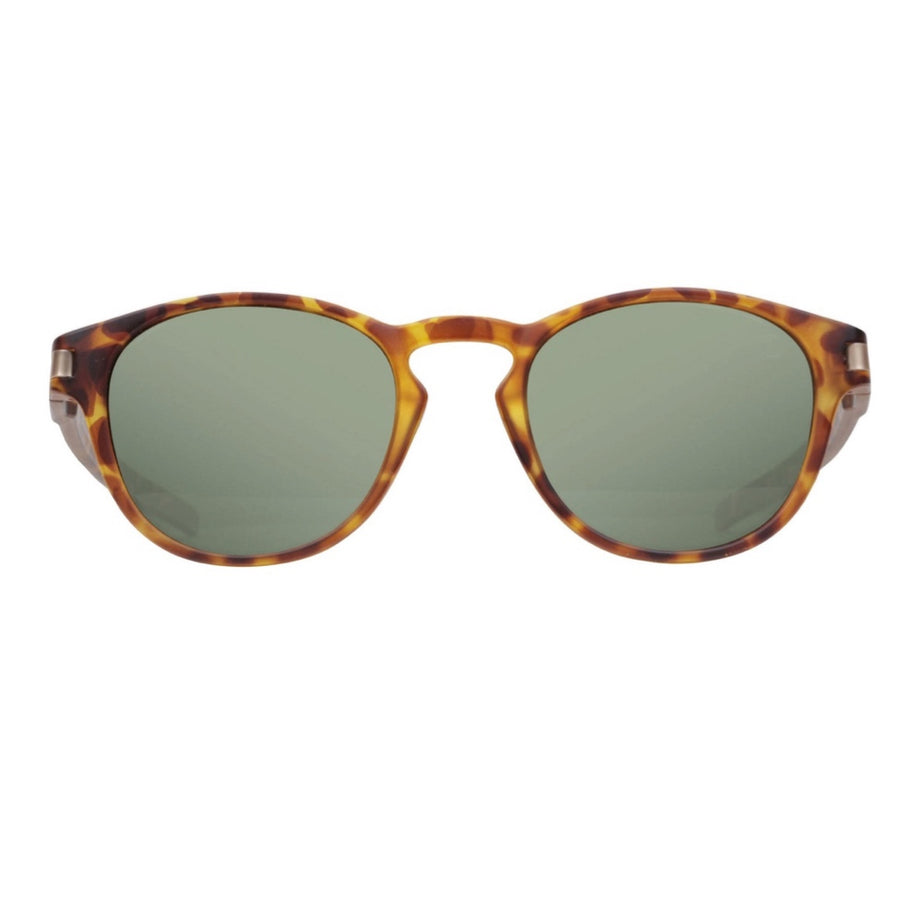 ANTEOJO DE SOL , SONIC-Animal Marrón